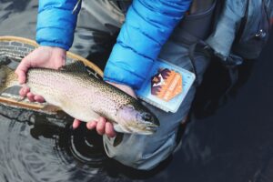 Aquarium Magic Keeping Fish at Home