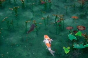 The Fisherman’s Guide to Game Fish